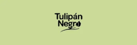 Tulipan Negro