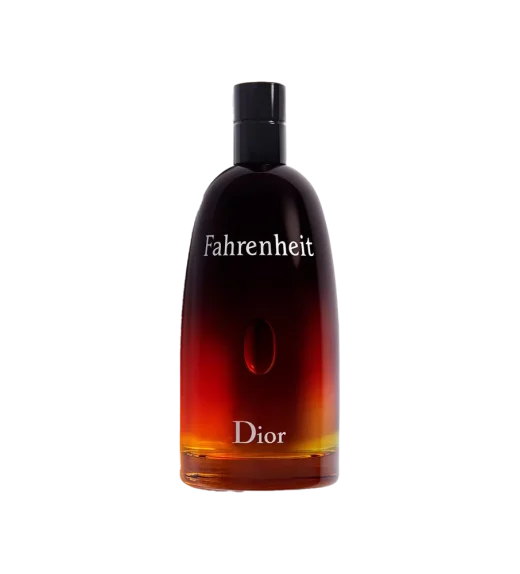 Dior_Eau_De_Toilette_Fahrenheit_men_100ml